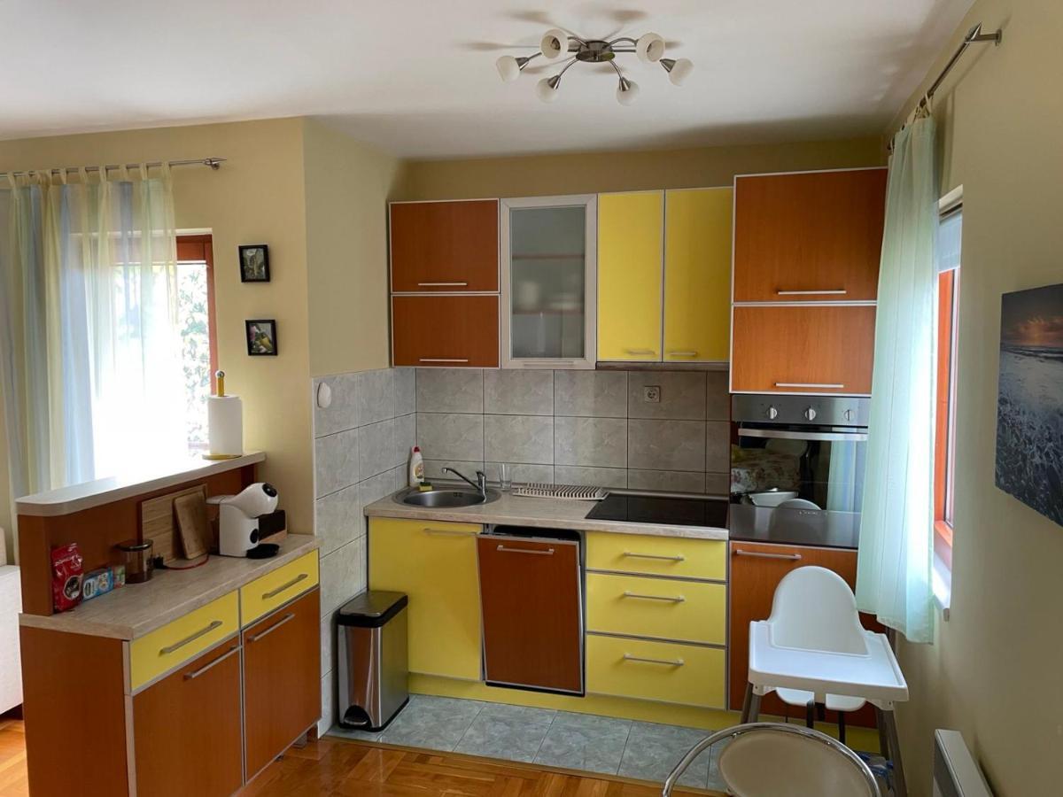 Yellow & * Zlatibor