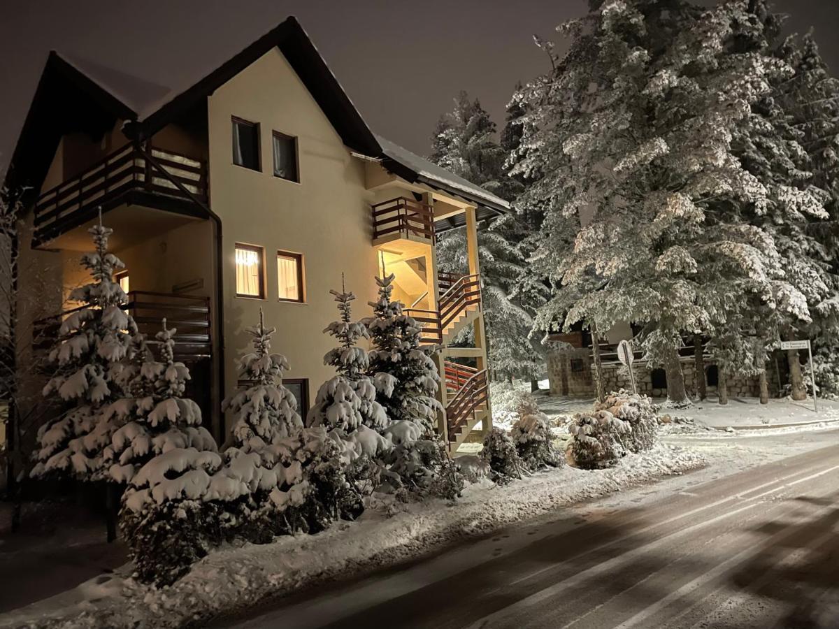 Yellow & Zlatibor